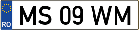 Truck License Plate